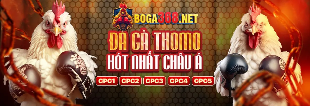 Hình ảnh chính về cá cược thể thao tại nohu 52 hiện đang mở