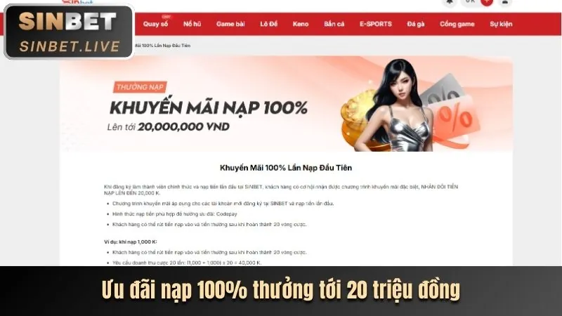 Ưu đãi độc quyền tại Nohu 52